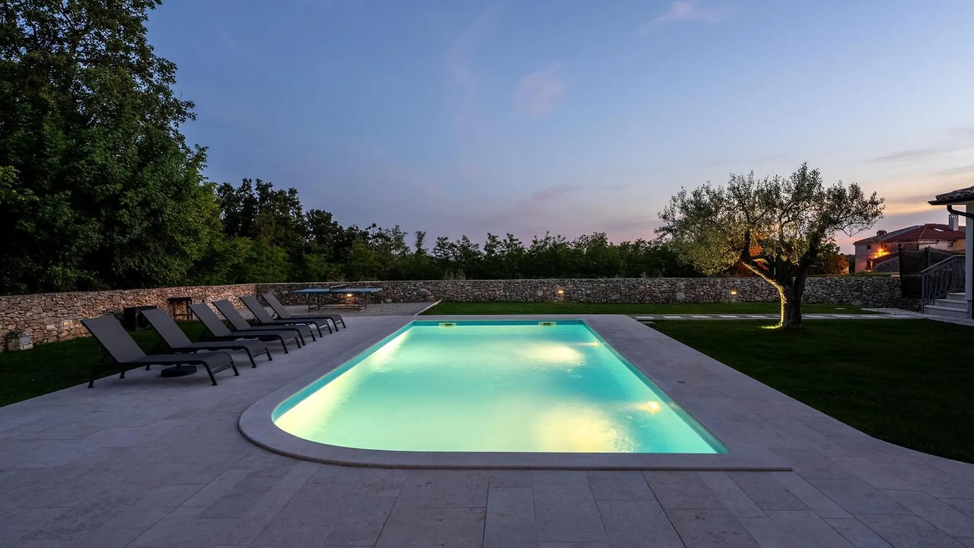 Villa Gemini Mit Salzwasserpool Und Garten Višnjan 0*,